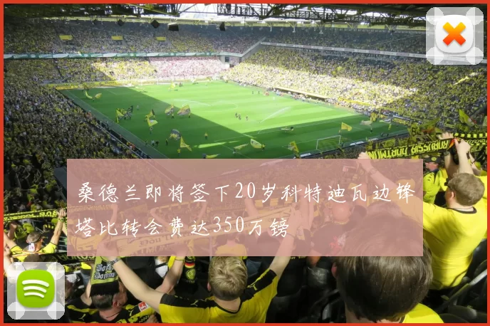 桑德兰即将签下20岁科特迪瓦边锋塔比转会费达350万镑