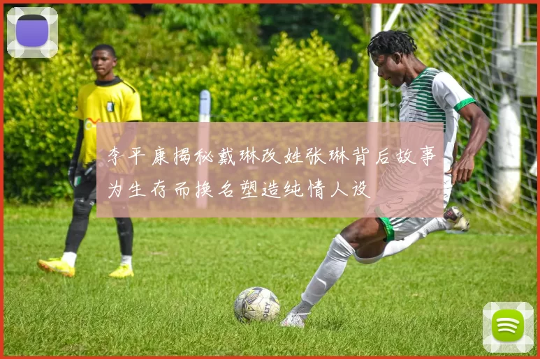 李平康揭秘戴琳改姓张琳背后故事为生存而换名塑造纯情人设