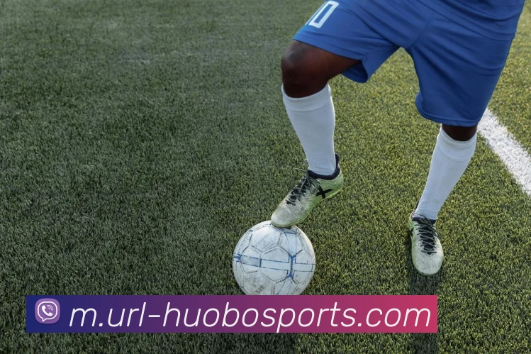 火博体育服务体系